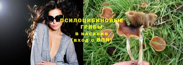 трава Абинск