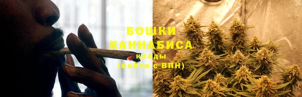 трава Абинск